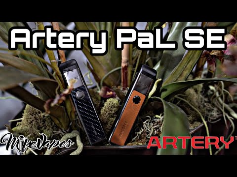Artery PaL SE – Sports Edition?
